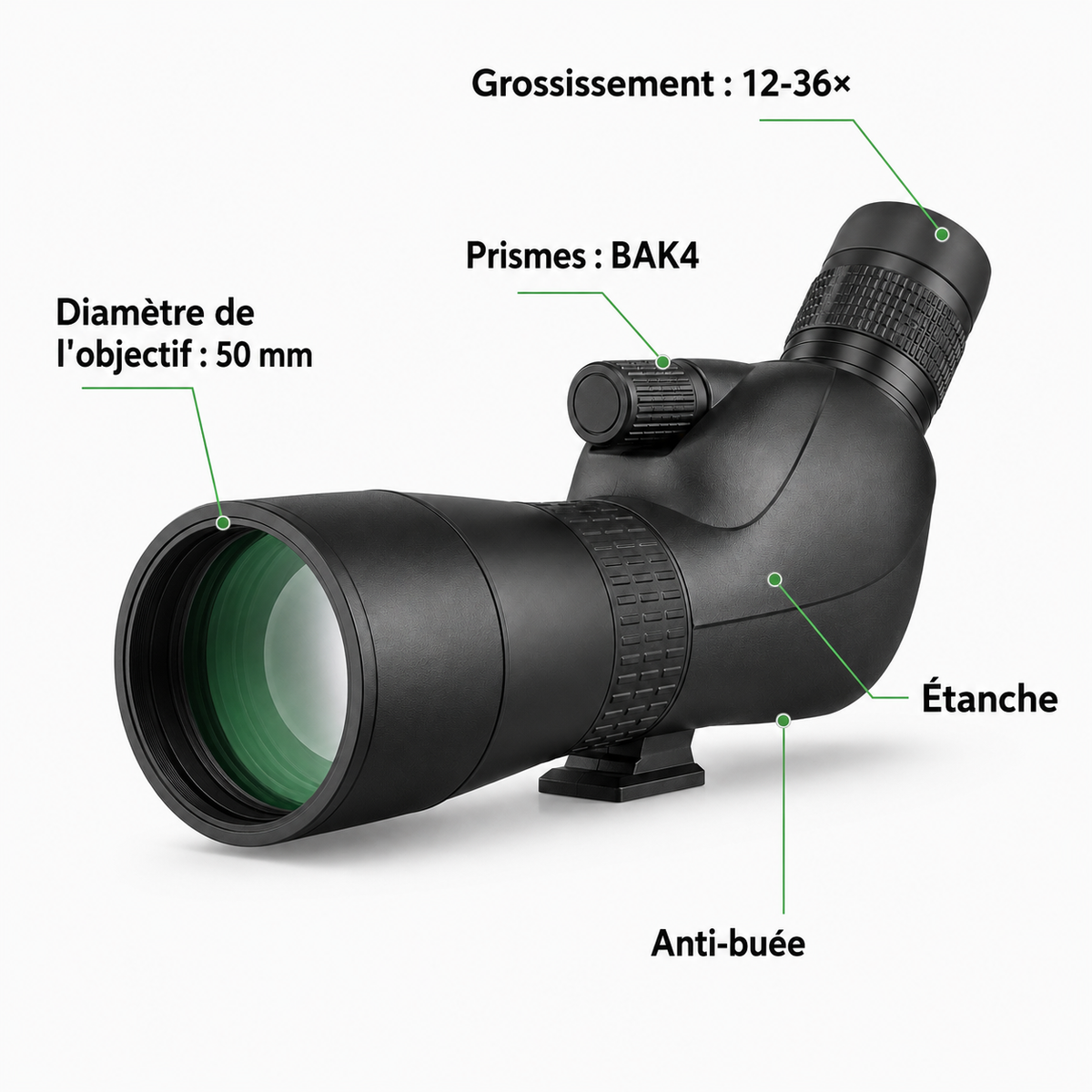 Longue-vue Zoom 12–36×50 pour Observation Nature