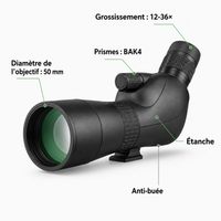 Longue-vue Zoom 12–36×50 pour Observation Nature