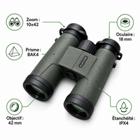 SUNCORE 10X42Green Binoculars - High-Performance, Durable, and Perfect for Outdoor Adventures