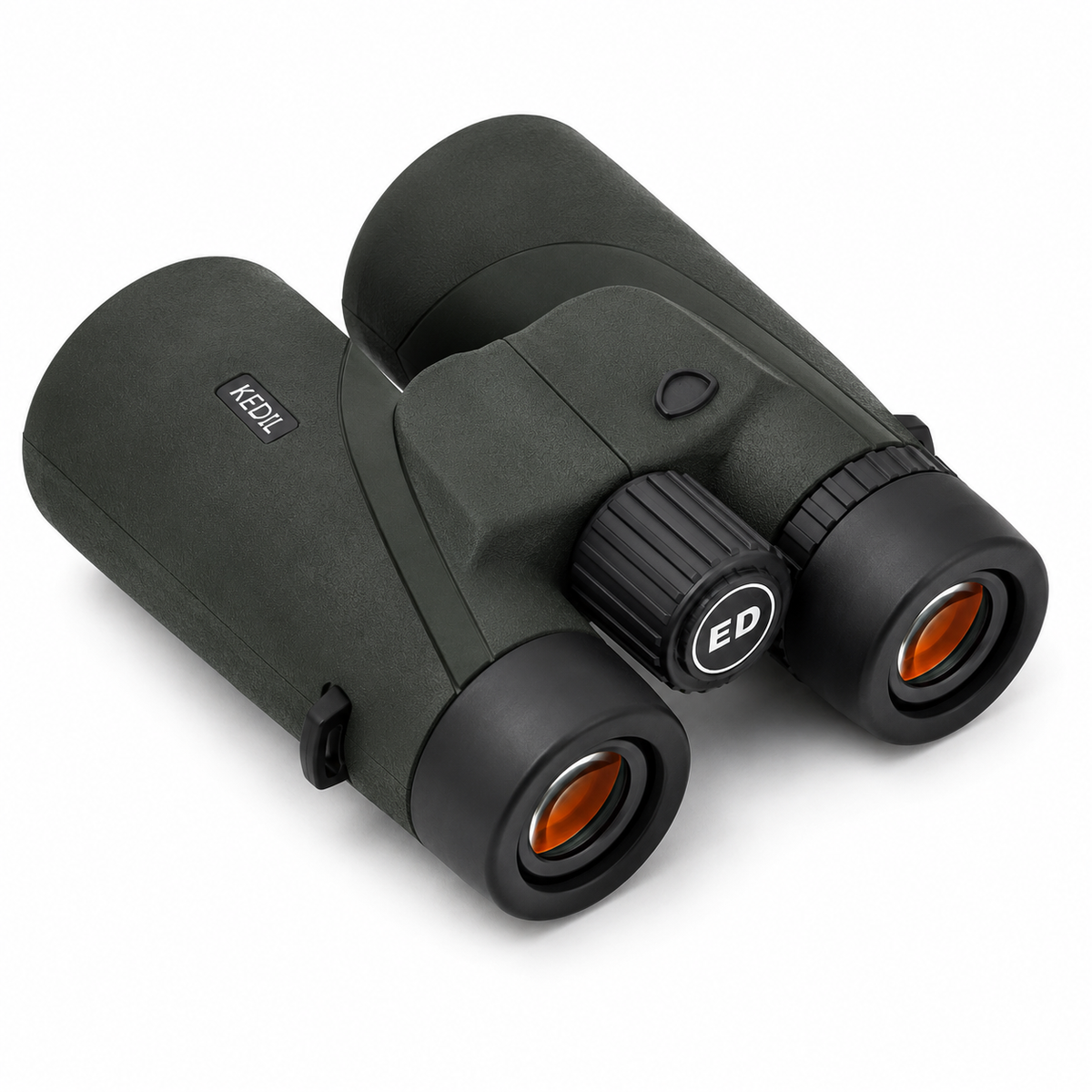 Jumelles ED 12×50 pour Observation Longue Distance